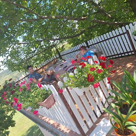 Guest House Jevtovic Sremski Karlovci Ngoại thất bức ảnh