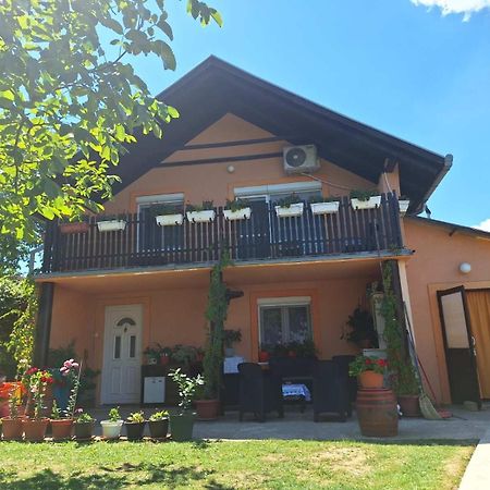 Guest House Jevtovic Sremski Karlovci Ngoại thất bức ảnh
