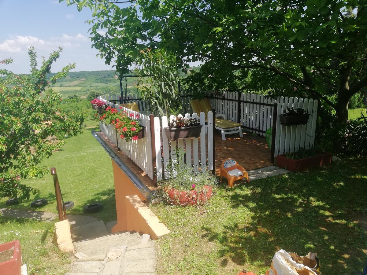 Guest House Jevtovic Sremski Karlovci Ngoại thất bức ảnh