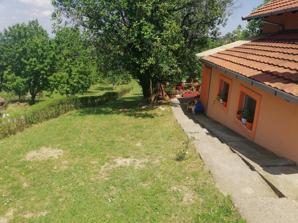 Guest House Jevtovic Sremski Karlovci Ngoại thất bức ảnh
