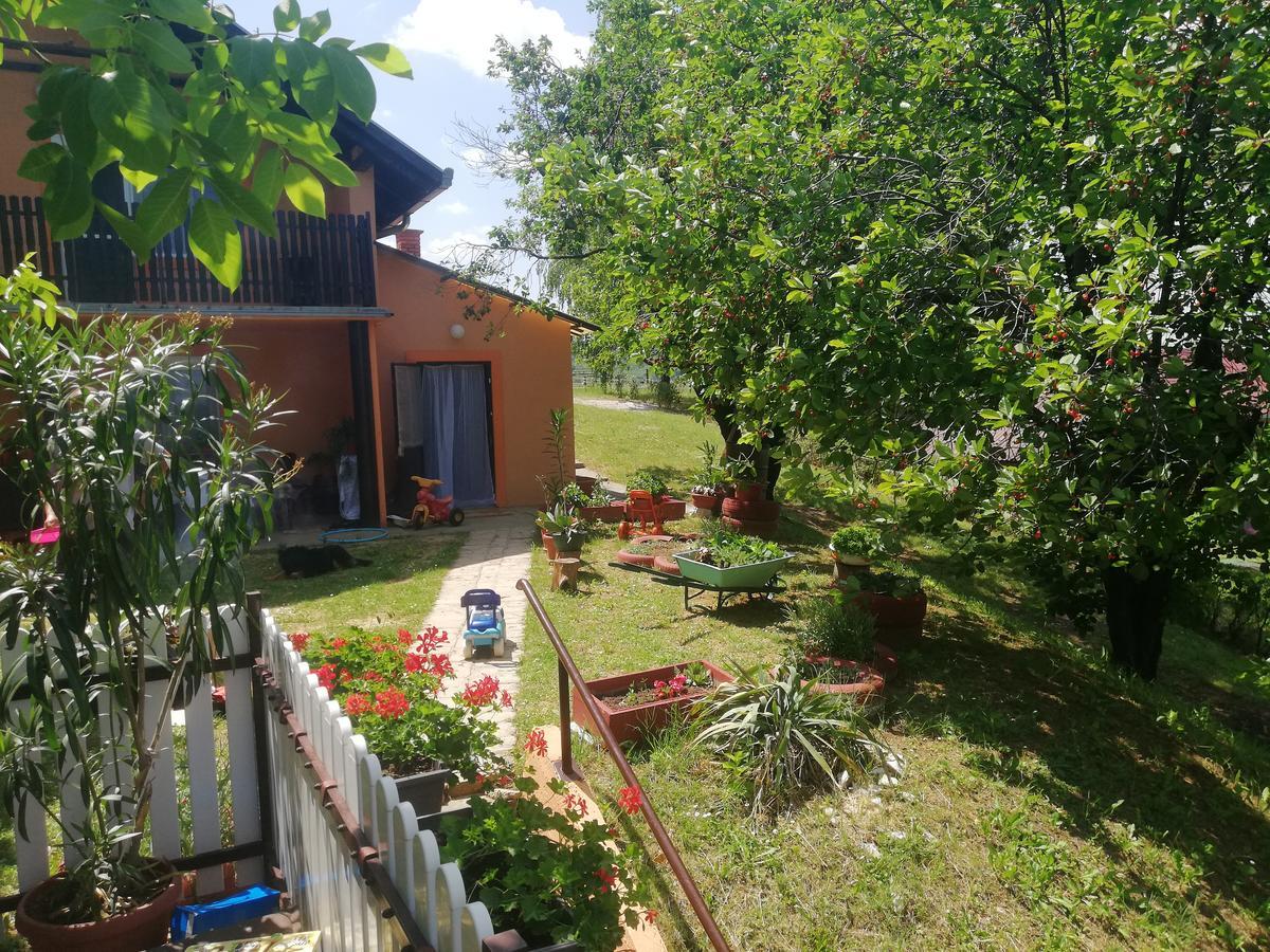 Guest House Jevtovic Sremski Karlovci Ngoại thất bức ảnh