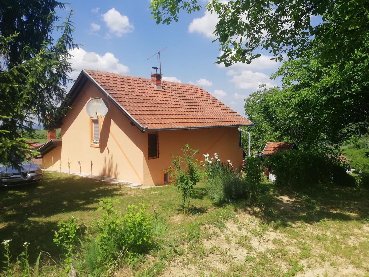 Guest House Jevtovic Sremski Karlovci Ngoại thất bức ảnh