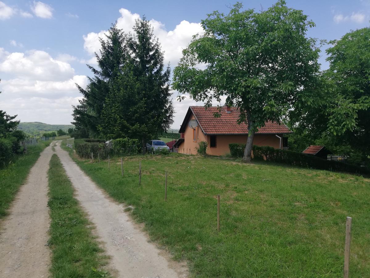 Guest House Jevtovic Sremski Karlovci Ngoại thất bức ảnh