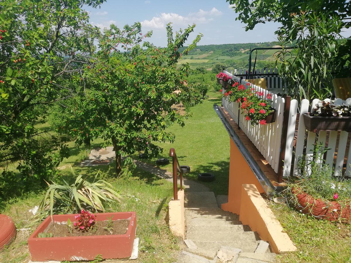 Guest House Jevtovic Sremski Karlovci Ngoại thất bức ảnh