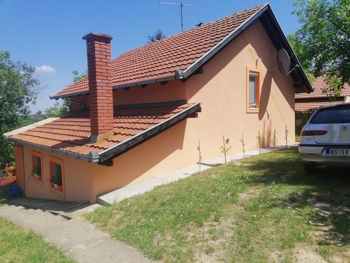 Guest House Jevtovic Sremski Karlovci Ngoại thất bức ảnh