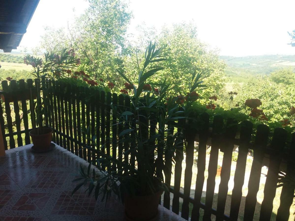 Guest House Jevtovic Sremski Karlovci Ngoại thất bức ảnh